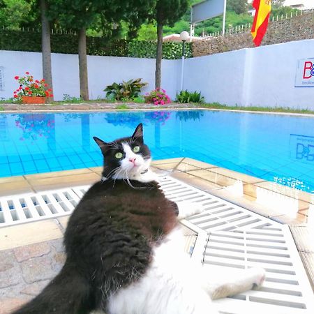 Villa Cinque Pini Casamicciola Terme Εξωτερικό φωτογραφία