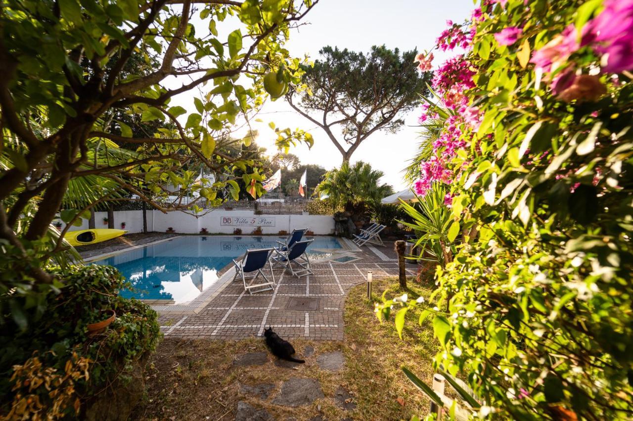 Villa Cinque Pini Casamicciola Terme Εξωτερικό φωτογραφία