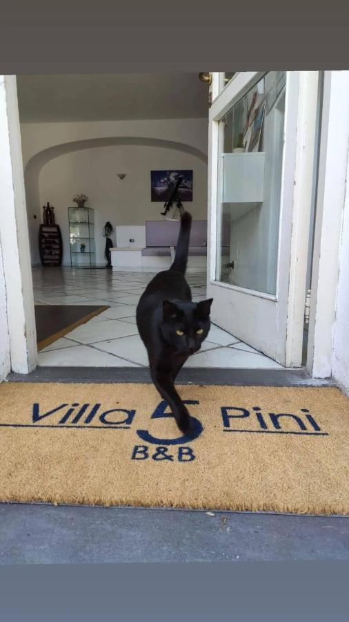 Villa Cinque Pini Casamicciola Terme Εξωτερικό φωτογραφία
