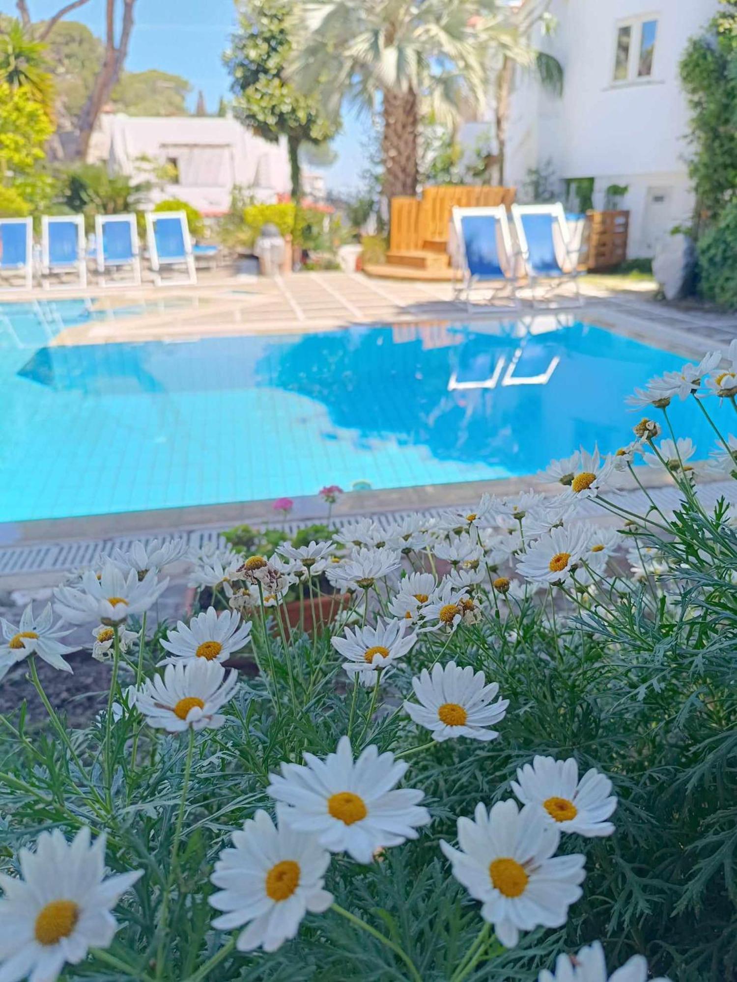 Villa Cinque Pini Casamicciola Terme Εξωτερικό φωτογραφία