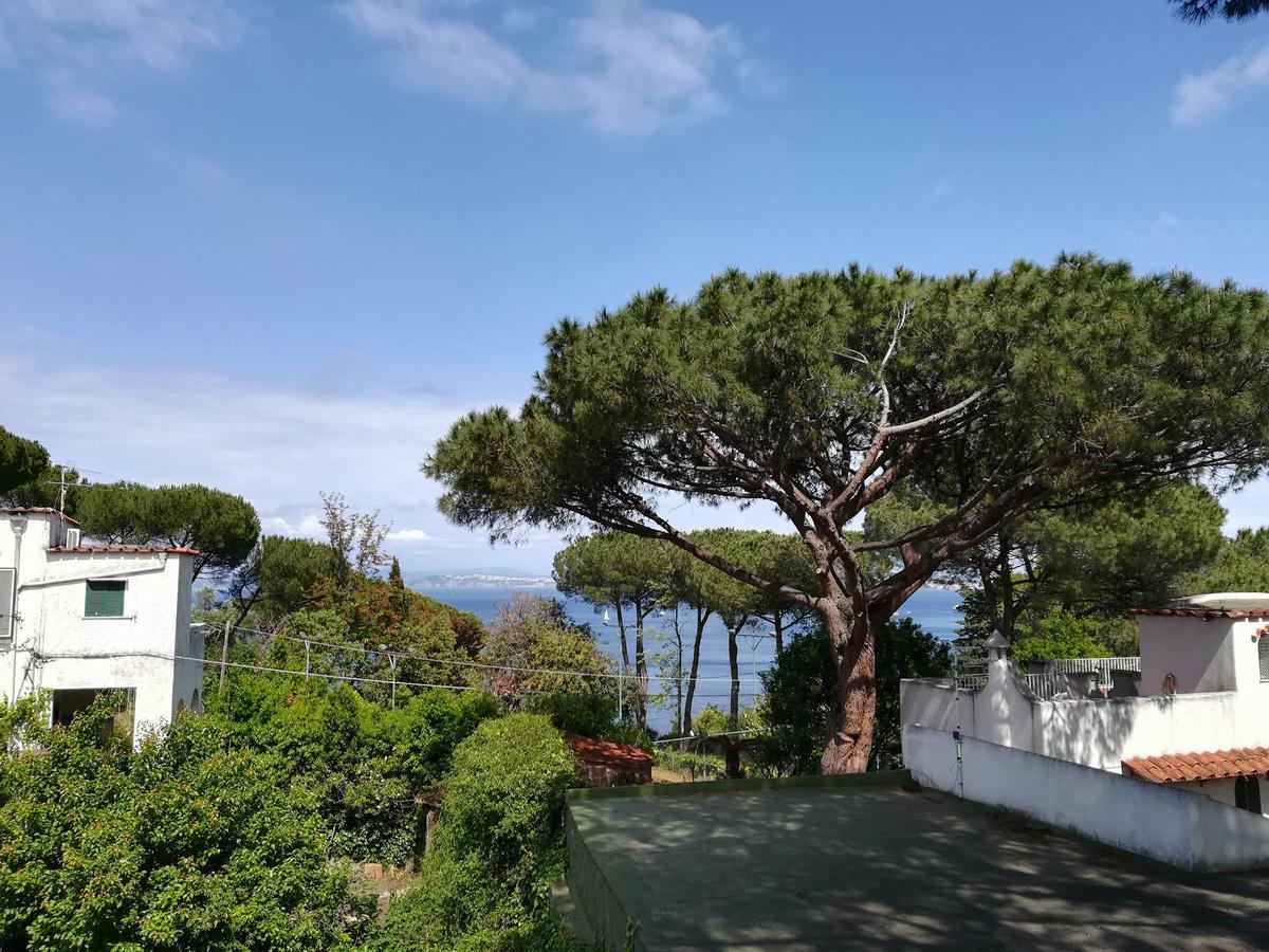 Villa Cinque Pini Casamicciola Terme Εξωτερικό φωτογραφία