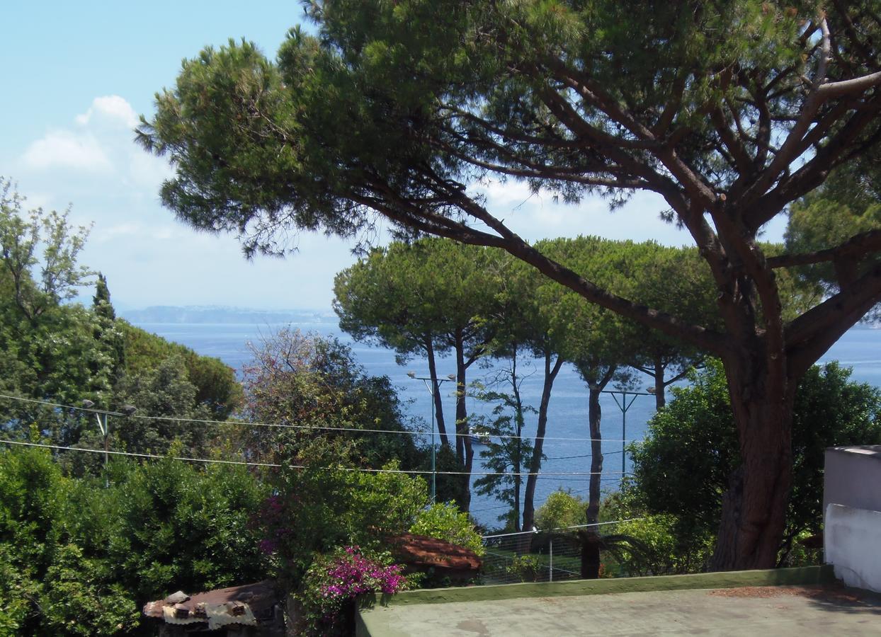Villa Cinque Pini Casamicciola Terme Εξωτερικό φωτογραφία